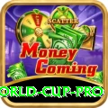 2021 t20 world cup Mega - Win Real PKR