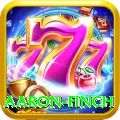 aaron finch Turbo v2.9.3