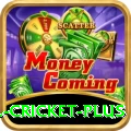all cricket Premium Slots