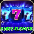 andy flower VIP v3.6.5