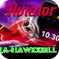 antigua hawksbill Premium v1.8.7