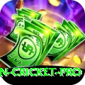 australian cricket Champion Gaming App