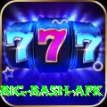 bbl big bash apk Ultimate Pro v2.2.5