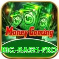 big bash Official v4.8.3