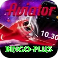 bingo VIP Edition v5.5.8