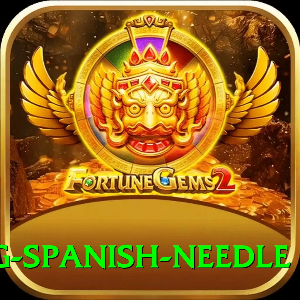 canyoning spanish needle Deluxe v4.4.1 - 2
