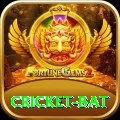 cricket bat Turbo Pro v3.0.4