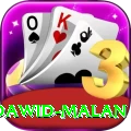 dawid malan Premium v2.3.7
