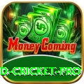 england cricket - Gaming Plus