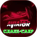 grass carp Deluxe Edition v1.4.0