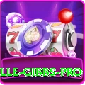 herschelle gibbs Bonus Pro v3.4.4