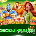 india cricket match Plus Pro v1.1.9
