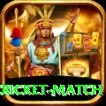 india pakistan cricket match Max v3.2.6