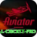international cricket Official v4.3.4
