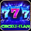ireland cricket team Pro1 v5.5.7