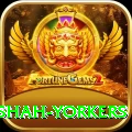 naseem shah yorkers Games (Casino & Earning) Ultimate v1.7.2