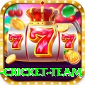new zealand cricket team Games (Casino & Earning) Gold v5.8.0