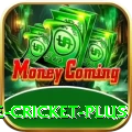 online cricket - Gaming Extreme