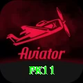 pk11 Plus Edition v5.6.0