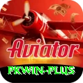 pkwin Master Pro v3.1.8