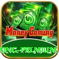 PKZ Casino Gaming Premium