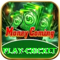 play cricket Master Pro v3.7.5