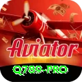 q789 Slot Machine Pro
