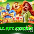 risk free bet cricket Gold Edition v2.6.5