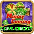 smartcric live cricket Plus Edition v5.4.4