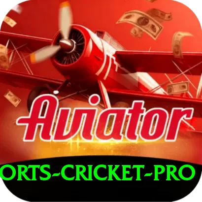 sports cricket Games King - 2