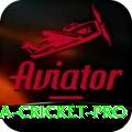 sri lanka cricket - Premium Edition v1.7.0