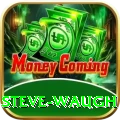 steve waugh Master Pro v1.3.6
