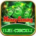 test cricket Max Pro v3.7.5