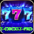 test cricket Ultimate v2.6.2