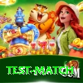 test match Max v5.9.1