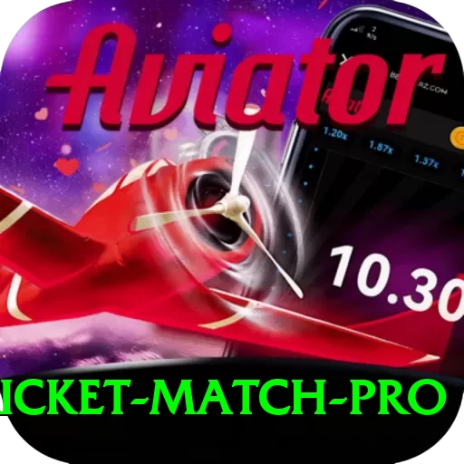 to day cricket match Deluxe v2.4.2 - 2