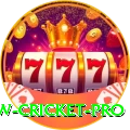 willow cricket Live Premium