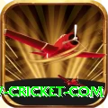 www cricket com Plus v3.7.1
